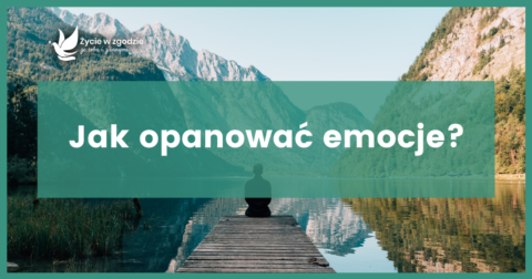 Jak zapanować nad emocjami? Rola emocji w konflikcie oraz praktyczne porady do zastosowania w trakcie negocjacji i mediacji